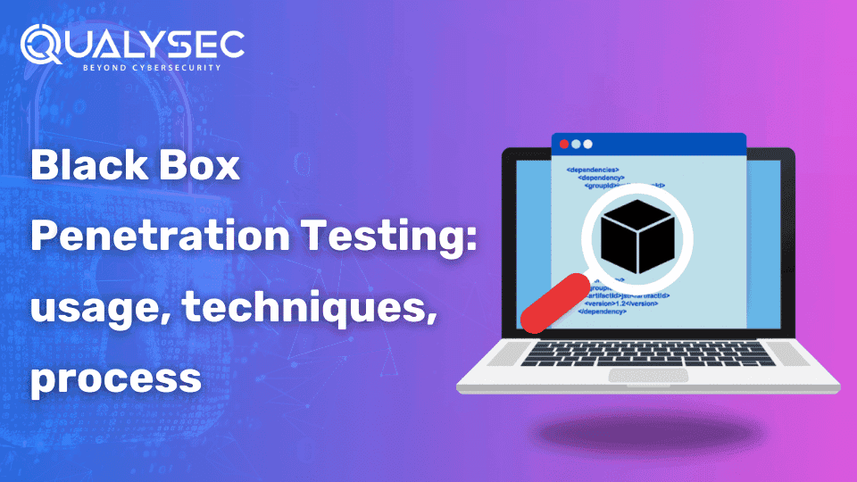 Black Box Penetration Testing_ usage, techniques, process