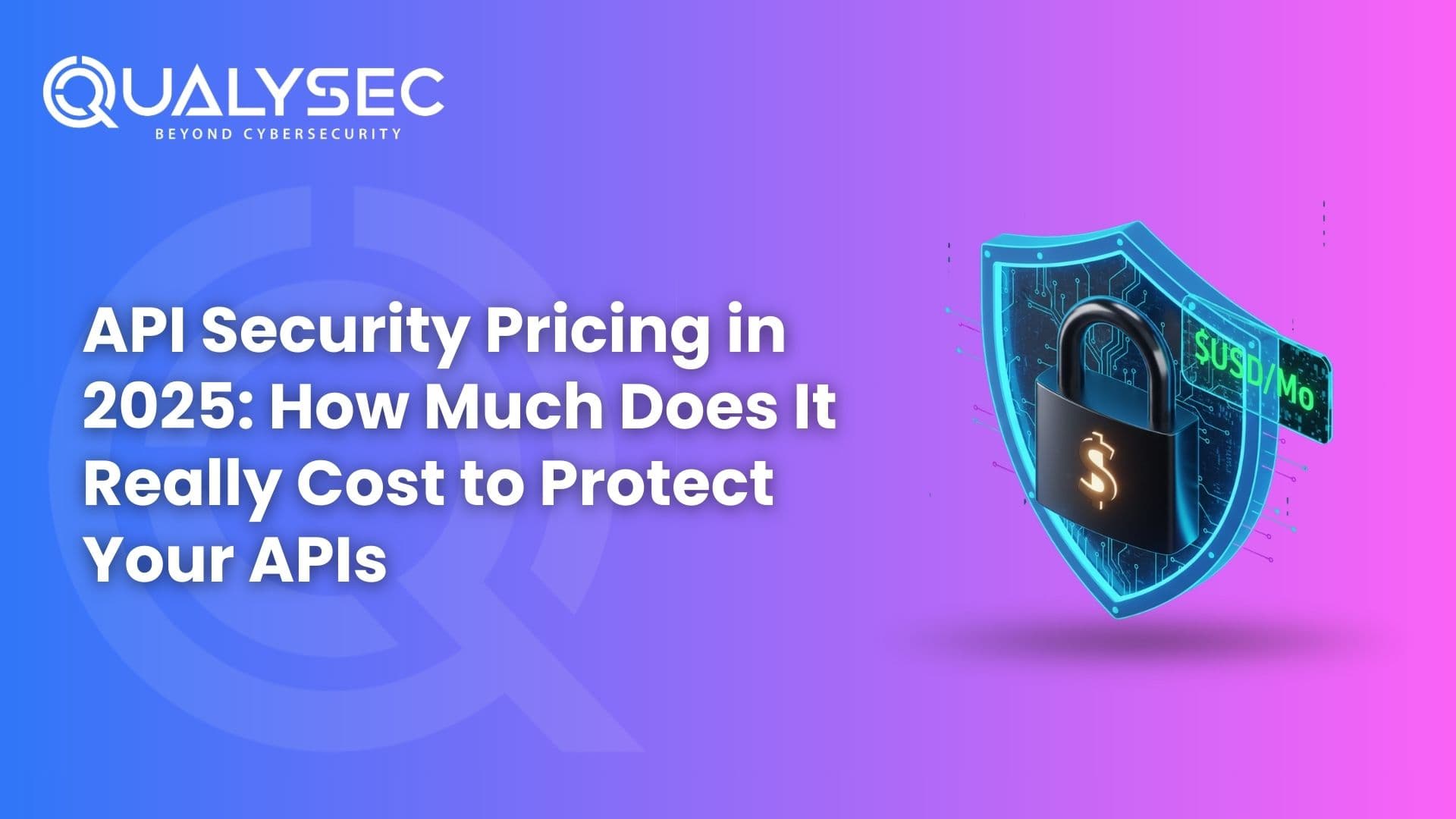 API Security Pricing in 2025 How Much Does It Really Cost to Protect Your APIs