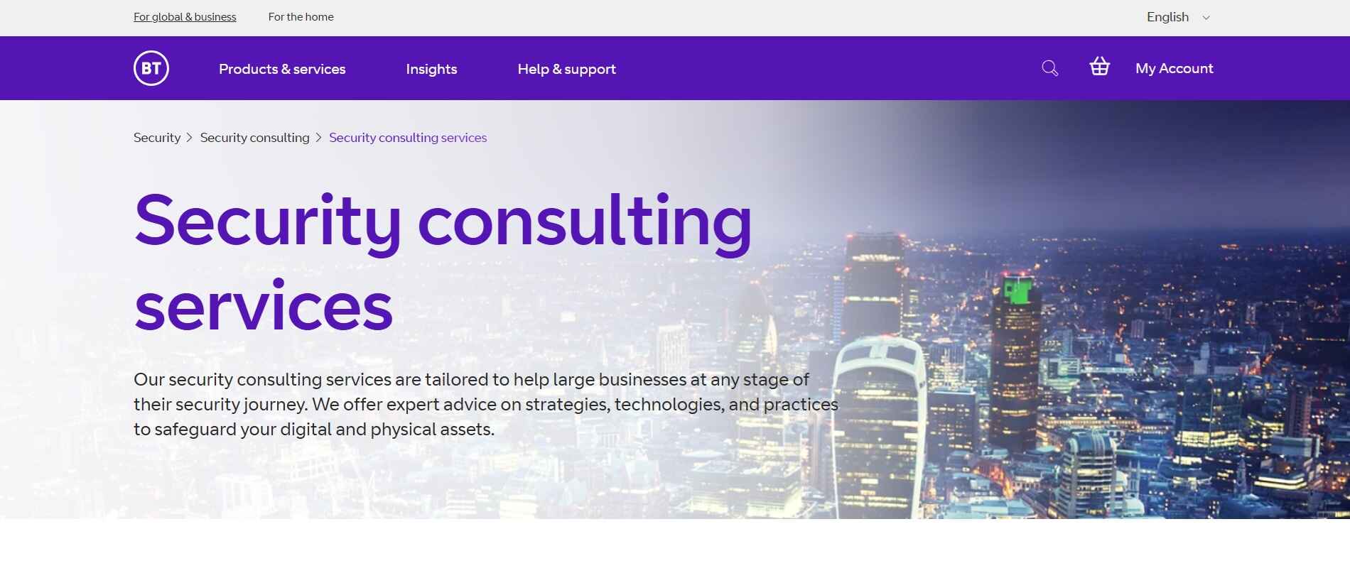 BT Consulting Computer & Network Security