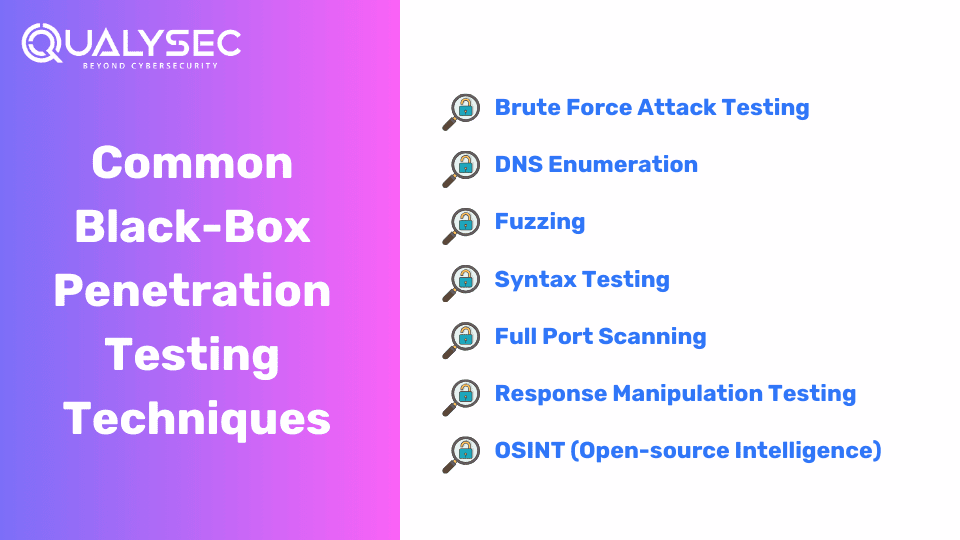 Common Black-Box Penetration Testing Techniques