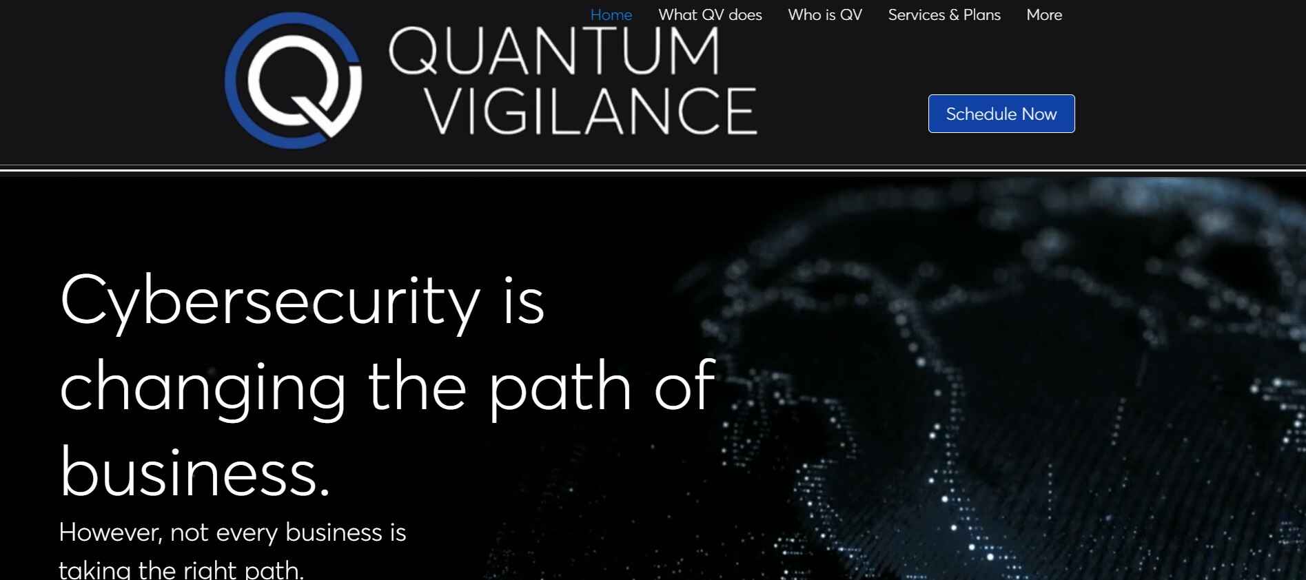 Quantum Vigilance