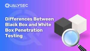 Differences Between Black Box vs White Box Penetration Testing