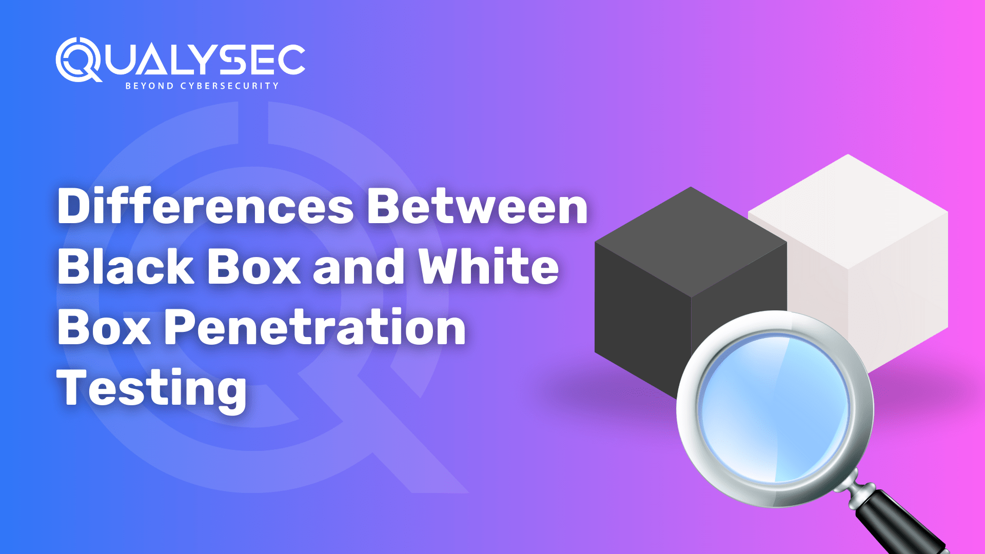 Differences Between Black Box and White Box Penetration Testing