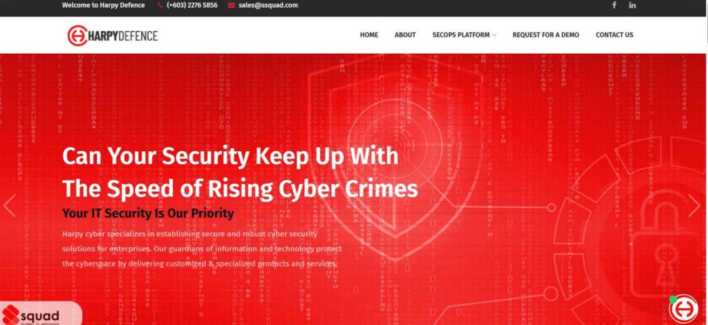 Herpy Cyber- Top Penetration Testing Companies in Malaysia