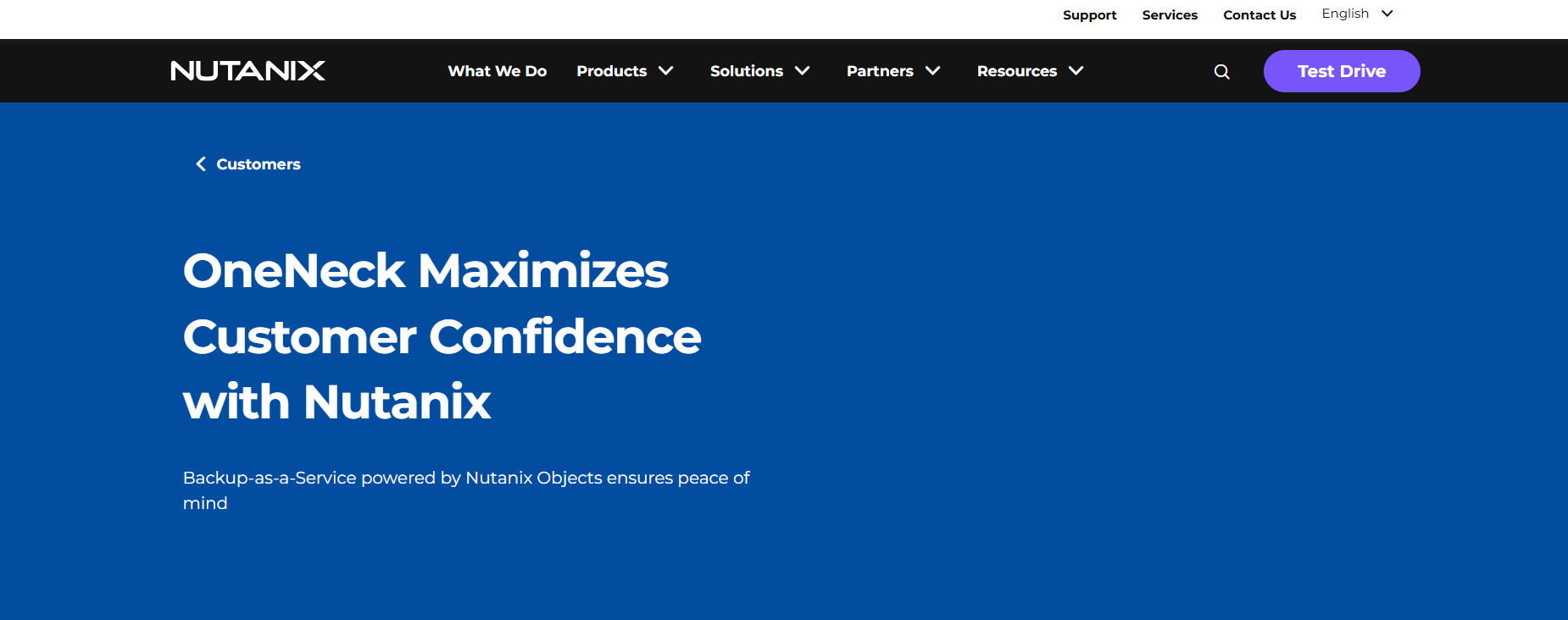 OneNeck IT Solution