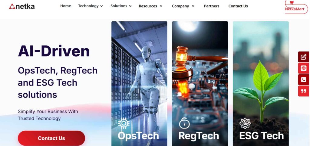The Netka System Company